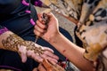 Henna Tattoo hand painting in Morocco Royalty Free Stock Photo