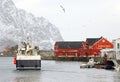 HENNINGSVAER, NORWAY, FEBRUARY 20, 2022: Henningsvaer harbor in Lofoten Archipelago, Europe. Royalty Free Stock Photo