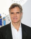 Henry Czerny Royalty Free Stock Photo