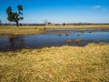 Henry Hill at Manassas Battlefield Royalty Free Stock Photo