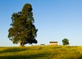 Henry House at Manassas Battlefield Royalty Free Stock Photo