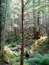 Henry Ridge Trail near Cordova, Alaska