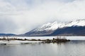 Henry's Fork of the Snake River