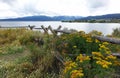 Henry`s Lake - Wildflowers & Fence