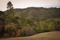 Henry W Coe State Park near Morgan Hill CA Royalty Free Stock Photo