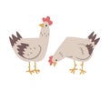 Hens Farm Bird, Poultry Breeding Concept Cartoon Vector Illustration Royalty Free Stock Photo