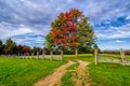 Hensley Settlement autumn colors Royalty Free Stock Photo