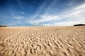 Henty Sand Dunes Tasmania Royalty Free Stock Photo