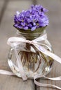 Hepatica flowers, pretty small bouquet in a vase.