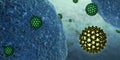 Hepatitis B virus close to human cells