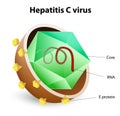 Hepatitis C virus Royalty Free Stock Photo