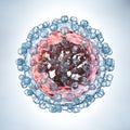 Hepatitis C virus