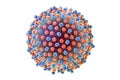 Hepatitis C virus illustration