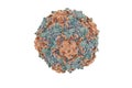 Hepatitis virus model research concept, 3D rendering