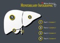 Hepatobiliary Infographic . Flat design . Royalty Free Stock Photo