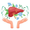 Hepatology, liver health care and detox, hands holding human organ among flowers