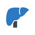 Hepatology vector glyph color icon
