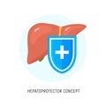 Hepatoprotector concept icon, healthy liver flat icon shield. Liver care guard icon