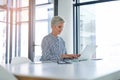 Her hard work is why shes still successful. an attractive mature businesswoman using a laptop at her office desk at work