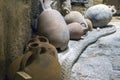 Heraklion, Crete Island / Greece. Amphorae that were found in shipwrecks in the marine area of Heraklion city 