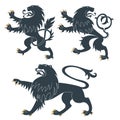 Heraldic Lions set Royalty Free Stock Photo