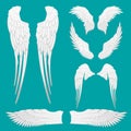 Heraldic Wings Set for Tattoo or Mascot Design