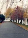 Herastrau Park in Bucharest, on a rainy day Royalty Free Stock Photo