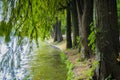 Herastru Lake shoreline Royalty Free Stock Photo