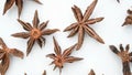 Herb BaJiaoHuiXiang or Anisi Stellati Fructus or Truestar Anise rotating