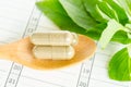 Herb capsule with green herbal leaf Royalty Free Stock Photo