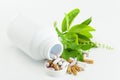 Herb capsule with green herbal leaf and white bottle. Royalty Free Stock Photo