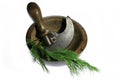 Herb chopper Royalty Free Stock Photo