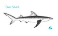 Blue shark hand-drawn illustration Royalty Free Stock Photo