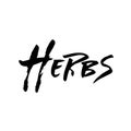 Herbs. Modern dry brush lettering. Ink handwriting typography template. Vector illustration.