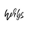 Herbs. Modern dry brush lettering. Ink handwriting typography template. Vector illustration.