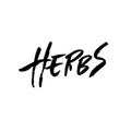 Herbs. Modern dry brush lettering. Ink handwriting typography template. Vector illustration.