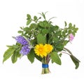 Herb and Flower Leaf Posy Royalty Free Stock Photo