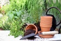 Herb Gardening and Trowel