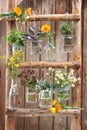 Herb in glass containers