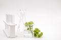 Herb green flower scientific equipment researched cosmetic Royalty Free Stock Photo