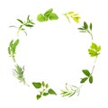 Herb Leaf Circle