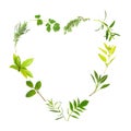 Herb Leaf Heart Royalty Free Stock Photo