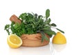 Herb and Lemon Freshness Royalty Free Stock Photo