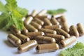 Herb medicines capsule. stock photo