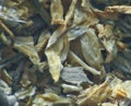 Herb repertory chamomilla