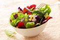 Herb salad with nasturtium flowers Royalty Free Stock Photo