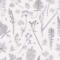 Herb seamless pattern background, vintage illustration, nature botany herbal floral flower plant leaf botanical organic