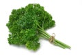 Herb Series Parsley