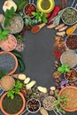Herb and Spice Abstract Border Royalty Free Stock Photo