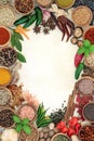 Herb and Spice Background Border Royalty Free Stock Photo